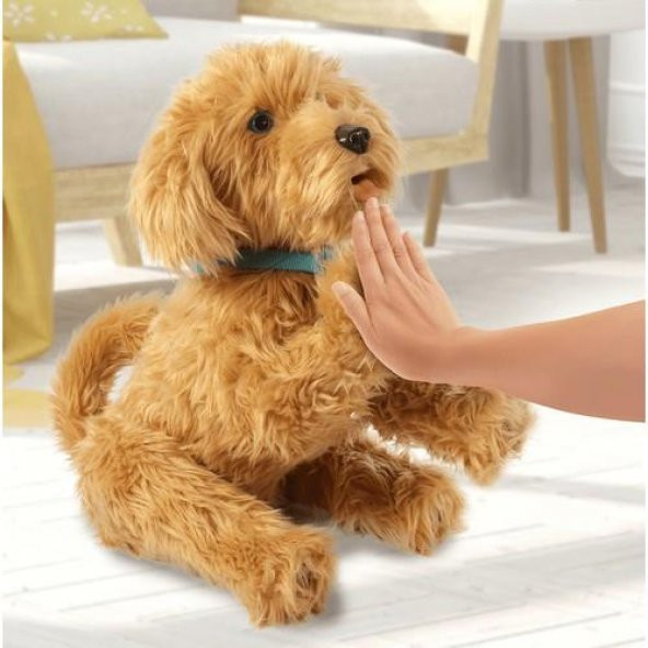 My Fuzzy Friends Sevimli Labrador Moji (Türkçe)18207 Lisanslı ürün görseli 1