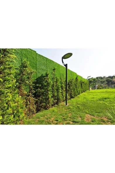 Çimçit 200 cm x 10 M - Resim 3