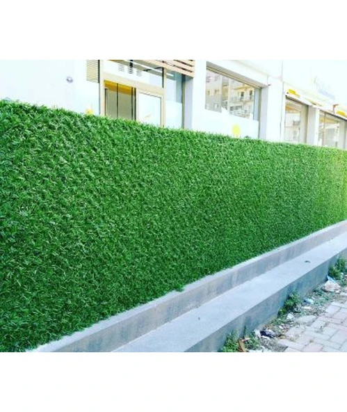 Çimçit 200 cm x 10 M - Resim 2