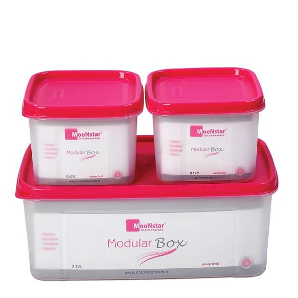 Moon star Modüler Hava Sızdırmaz Saklama Kabı-2,5LT+2X0,65LT-MS-08 ürün görseli 1