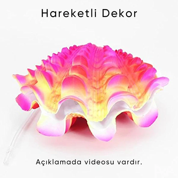 VENYS MİDYE- 0-51 Hareketli Akvaryum Dekoru ürün görseli 1
