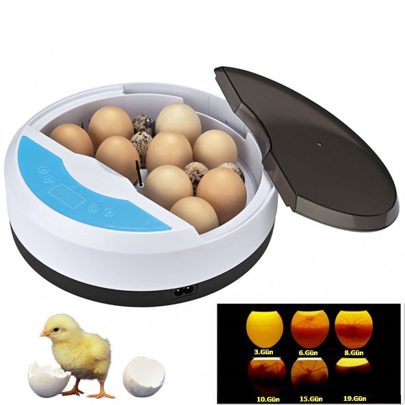 Mini 9+4 Yumurtalı  Otomatik Kuluçka Makinası ürün görseli 1