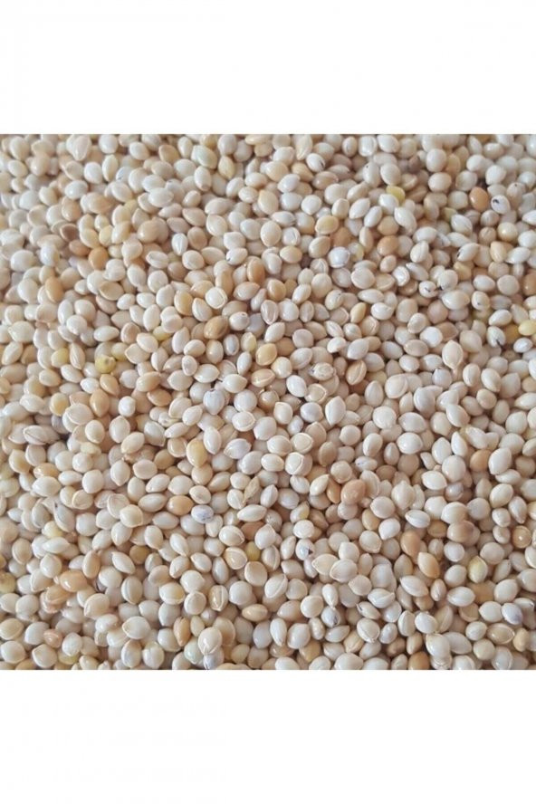 Muhabbet Kuşu Yemi Sade Ak Darı 5 Kg ürün görseli 1