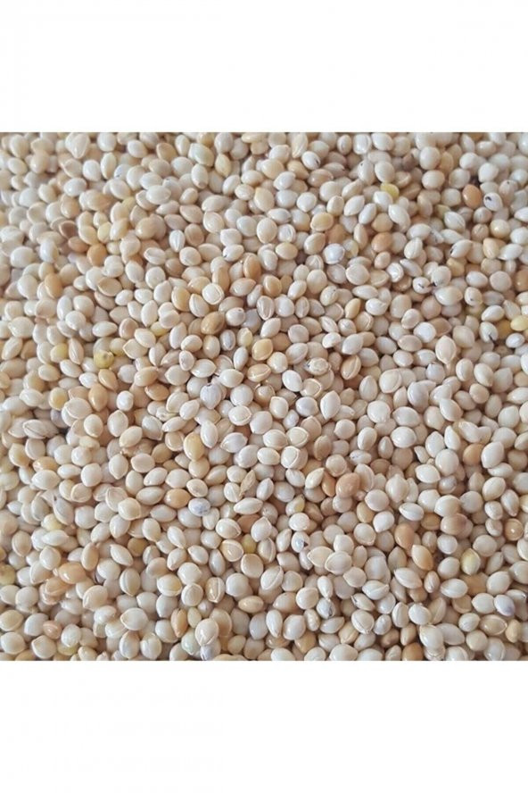 Akdarı Muhabbet Kuş Yemi 5 Kg ürün görseli 1