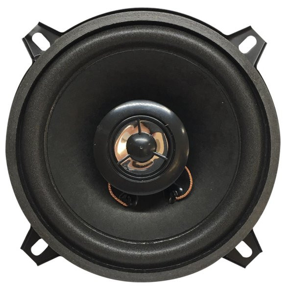 Powermaster PW-13T 4 Ohm 100 Watt 13 Cm Tweteerlı Tekli Hoparlör ürün görseli 1