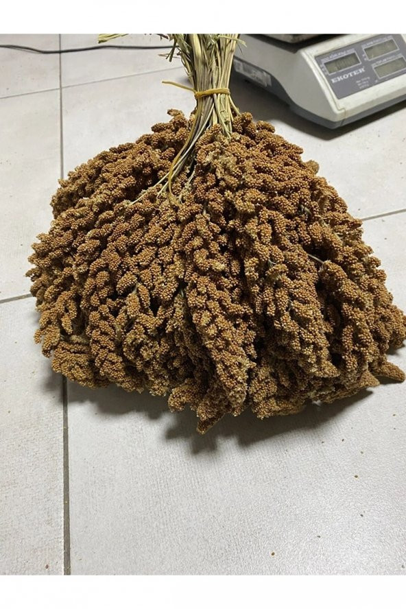 DOĞAL DAL DARI ÖZEL HAZIRLANMIŞTIR 500 GR ürün görseli 1