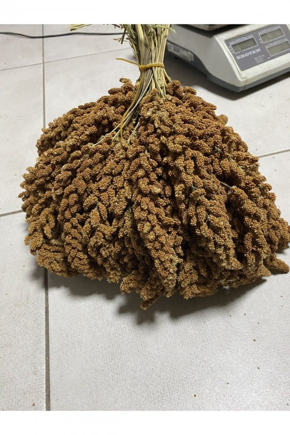 Doğal Dal Darı (ÖZEL HAZIRLANMISTIR) 1 Kg ürün görseli 1