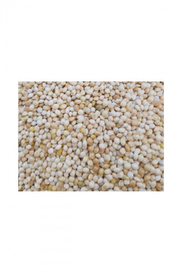 Ak Darı Kafes Kuşları Ortak Yemi 1 kg ürün görseli 1