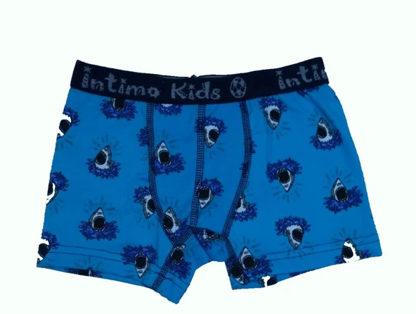 12 li Paket İntimo Kids Erkek Çocuk Desenli Likralı Boxer ürün görseli 1