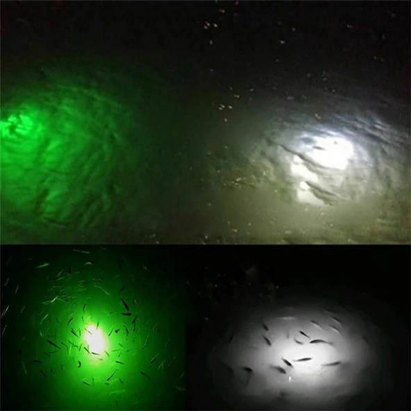 Sea Horse Eye Light V1-Uwl Green - Resim 2