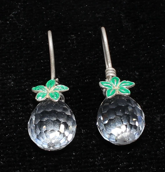 925 Ayar Gümüş Swarovski Taşlı Küpe ürün görseli 1