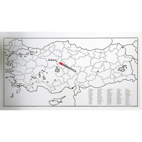 Türkiye Haritası Kağıt Tahta 110×56 Cm ürün görseli 1