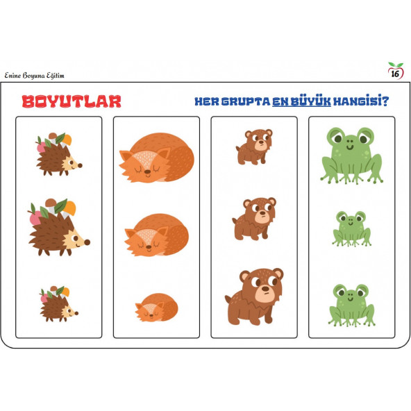 Okul Öncesi Matematiğin Temeli YAZ-SİL Kitabı - Resim 5