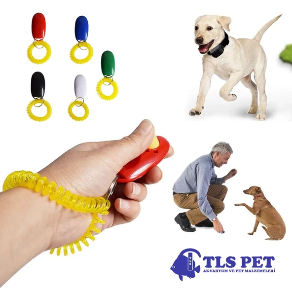 Köpek Eğitim Aparatı Clicker Klik ürün görseli 1