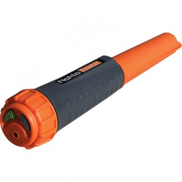 Nokta Pointer - Resim 2