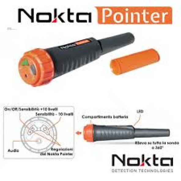 Nokta Pointer - Resim 3