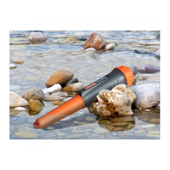 Nokta Pointer - Resim 4