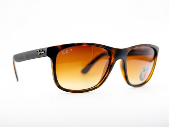 Rayban Rb4181 710/13 Polarize Unisex Güneş Gözlüğü ürün görseli 1