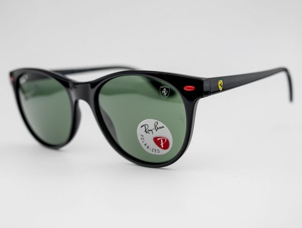 Ray-Ban RB 2202-M F601/31 54-19 Polarize Unisex Güneş Gözlüğü ürün görseli 1