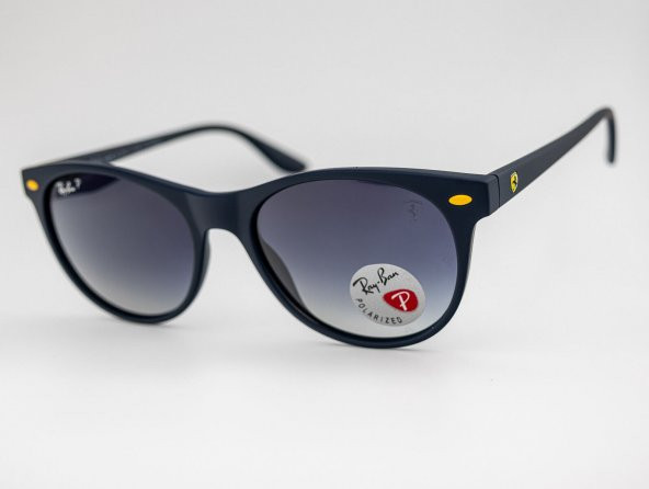 Ray-Ban RB 2202-M F668/B1  54-19 Polarize Unisex Güneş Gözlüğü ürün görseli 1