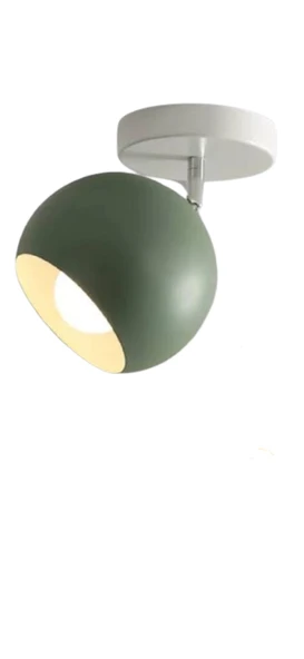 Rsylight Metal Retro Su Yeşili Tavan Plofyoner 180 Derece Hareketli Modern Spor Avize Çap:20 cm ürün görseli 1