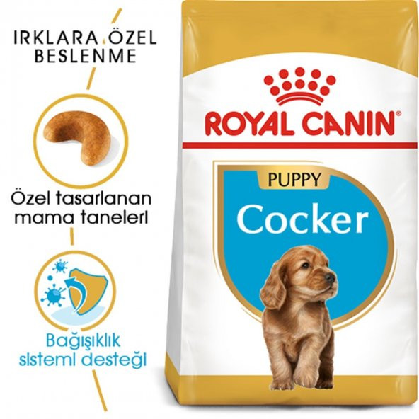 Royal Canin Cocker Junior 3 Kg. - Resim 2