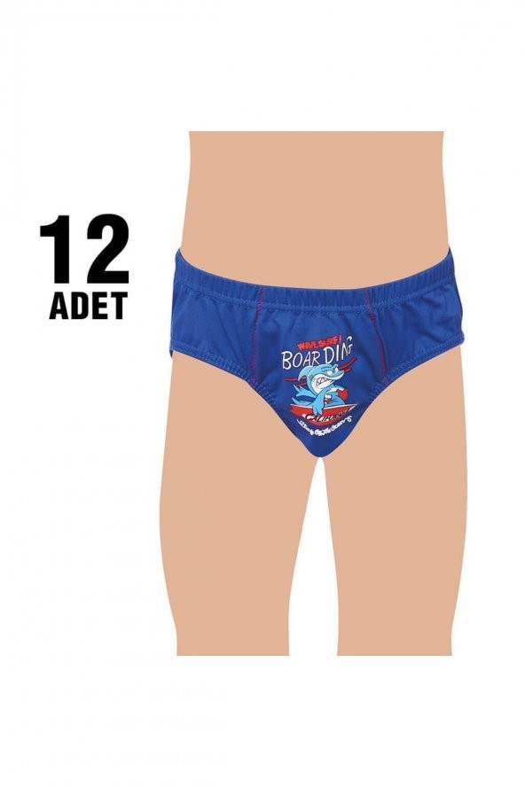 0138 Erkek Çocuk Elestan Baskılı Slip Külot 12li ürün görseli 1