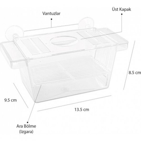 Atlantik Tekli Kristal Balık Yavruluk 13,5 cm x 8,5 cm ürün görseli 1