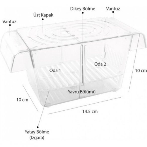Atlantik Ikili Kristal Balık Yavruluk 14,5 cm x 10 cm ürün görseli 1