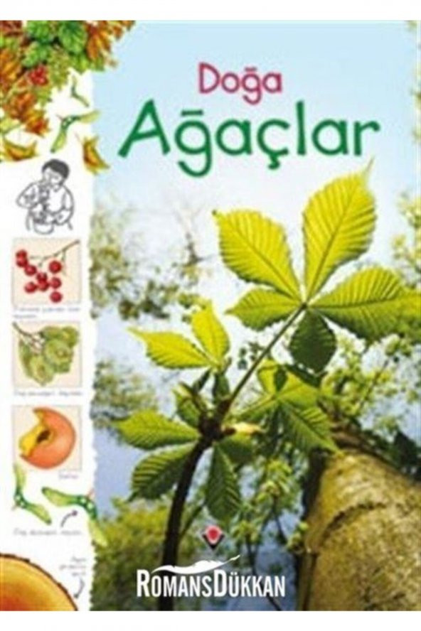 Doğa - Ağaçlar ürün görseli 1