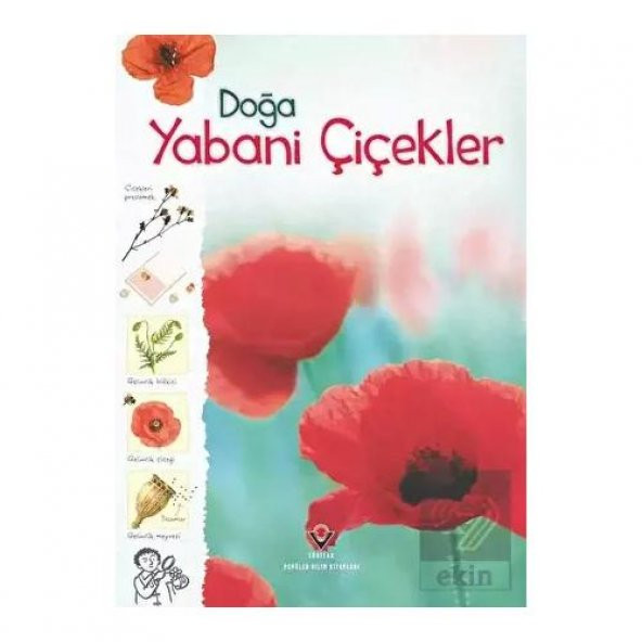 Doğa - Yabani Çiçekler ürün görseli 1