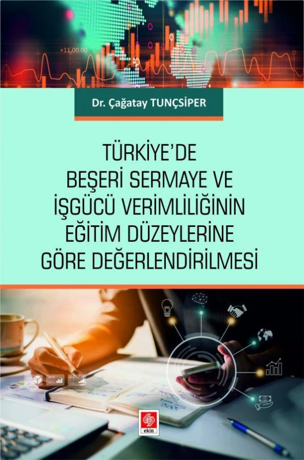 Türkiyede Beşeri Sermaye ve İşgücü Verimliliğinin Eğitim Düzeylerine Göre Değerlendirilmesi Çağatay Tunçsiper ürün görseli 1