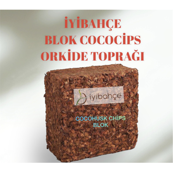 İYİBAHÇE ORKİDE COCOCİPS TABAKA ürün görseli 1