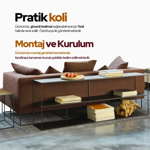 Zaum Dresuar ve Konsol - Resim 5