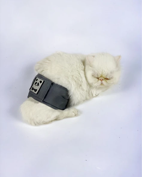 Kedi Çiş Bel Bandı Yıkanabilir Sızdırmaz Kedi Kıyafeti ürün görseli 1