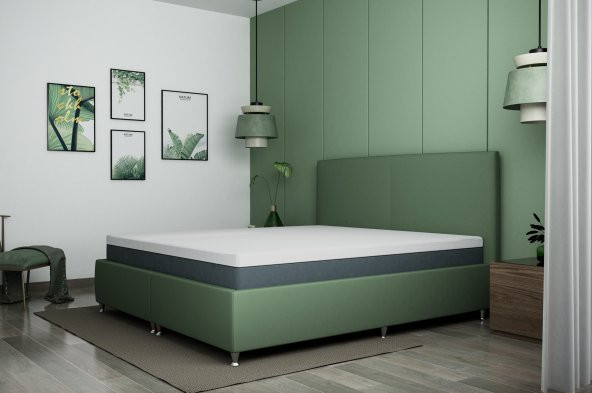 Moly Ergonomik Ortopedik Lateks Yatak 200x200 - Resim 2