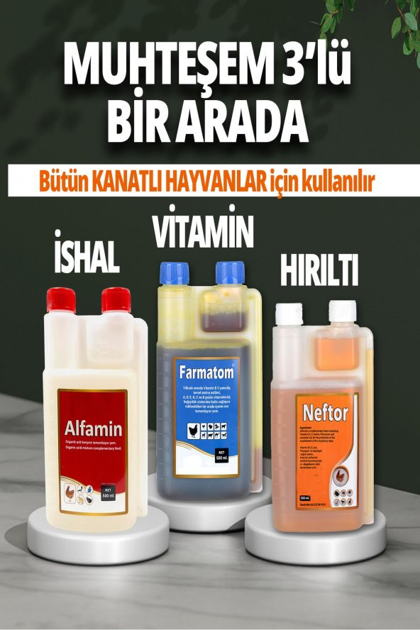 3lü Set Farmatom Vitamin Alfamin Ishal Neftor Hırıltı Seti - 500 ml ürün görseli 1