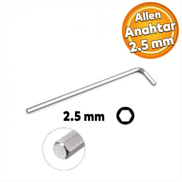 Eltos Allen Alyan Anahtar 2.5 mm Altıgen Vida Somun Sıkma Sökme ECA0025 ürün görseli 1