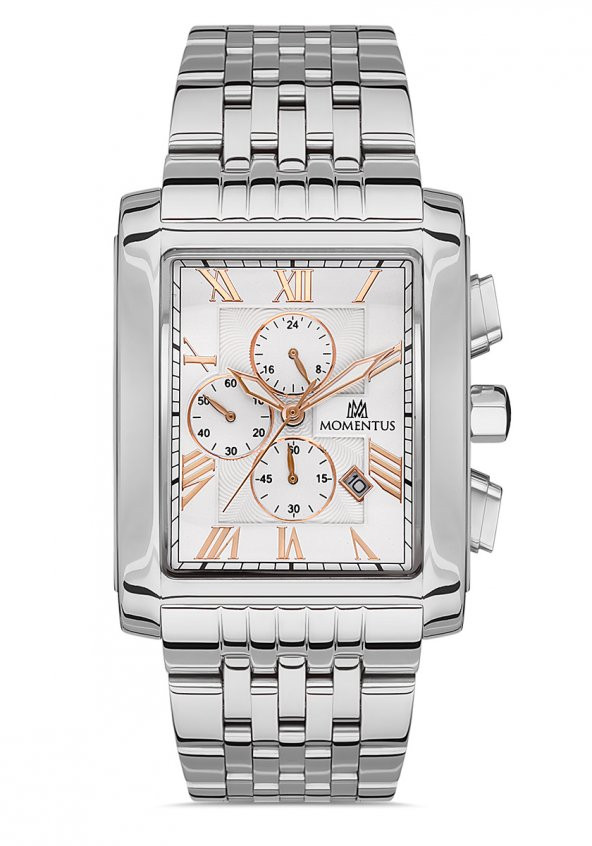 Momentus Men's Time Master TM111S-02SR ürün görseli 1