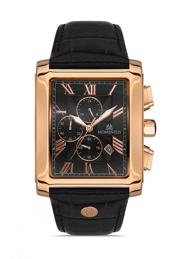 Momentus Men's Time Master TM111R-04BR ürün görseli 1