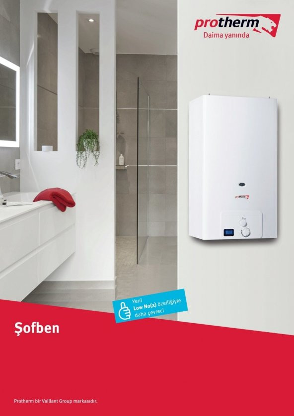 Protherm T191/L - A Enerji Sınıfı 11 LT Doğalgazlı Hermetik Şofben - Resim 2