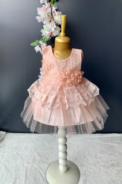 Kat Dantelli Gül Motif Kız Bebek Elbise PNPN159 ürün görseli 1