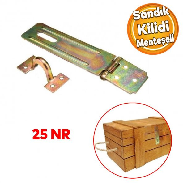 Sandık Kutu Askısı 25 Lik Menteşeli Kilit Tosba Kilit Asma Kilit Aparatı ürün görseli 1