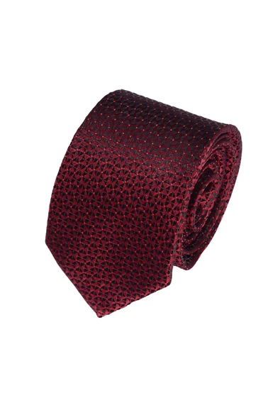 Cengiz İnler Kendinden Desenli Mendilli Mikrofiber Erkek Kravat ürün görseli 1