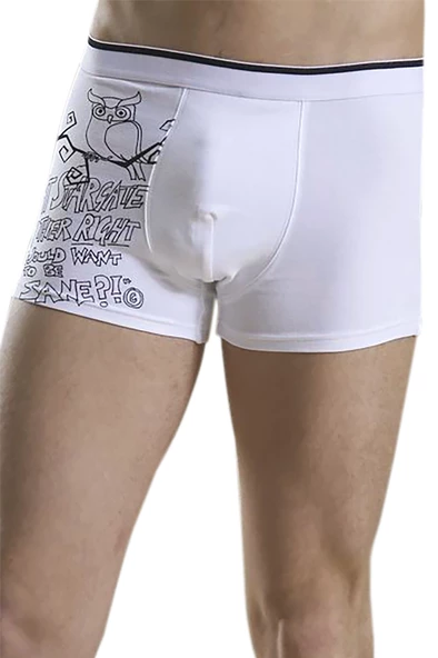 Antibakteriyel Erkek 3'lü Boxer - Resim 2