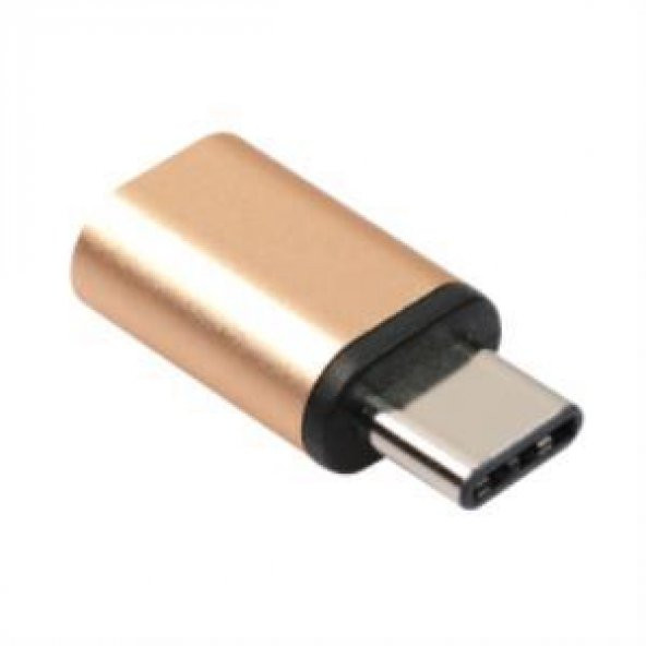 Type-C Erkek - Micro USB Dişi Şarj Kablosu Çevirici - Altın ürün görseli 1