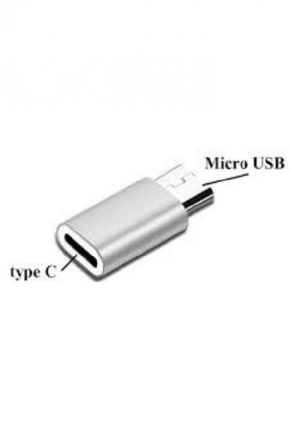 Type-C Erkek - Micro USB Dişi Şarj Kablosu Çevirici - Gri ürün görseli 1