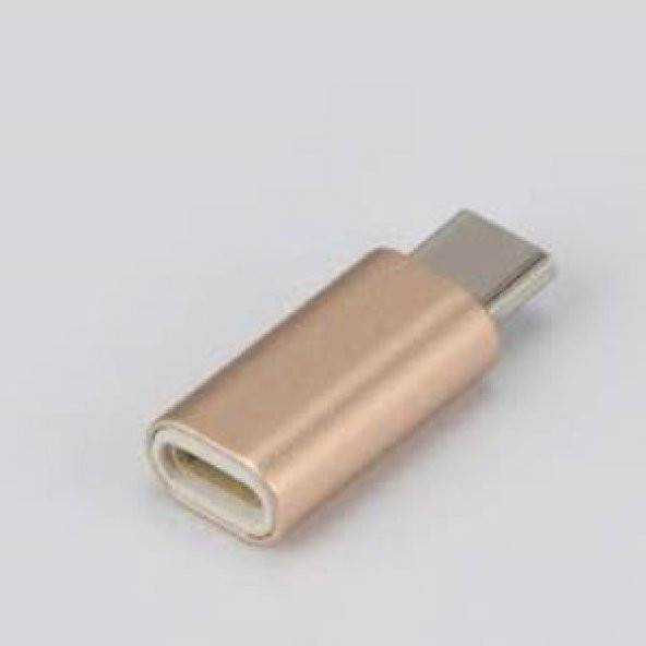 USB Type-C Erkek - Apple Lightning Dişi Çevirici - Altın ürün görseli 1