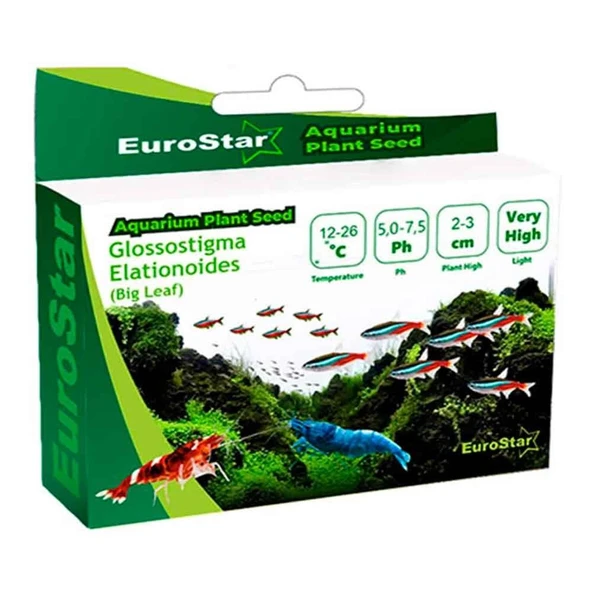Eurostar Bitki Tohumu Glossostigma Elatinoides ürün görseli 1