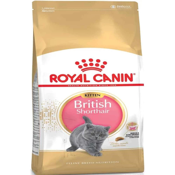 Royal Canin British Shorthair Kitten 2 kg ürün görseli 1